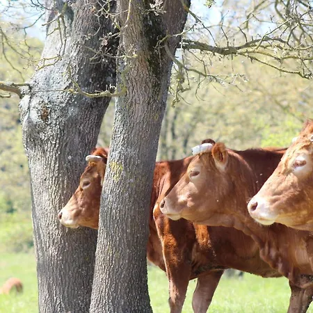 Farm stay Et Roulottes Au Domaine De La Trille *